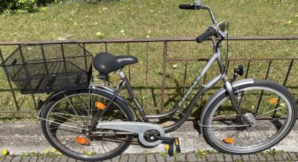 Stadtfahrrad Bavaria Line Lizzard für Damen 26 Zoll Nabendynamo Korb