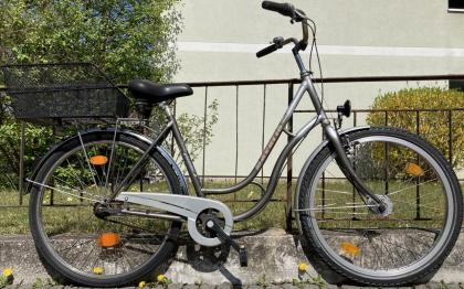 Stadtfahrrad Bavaria Line Lizzard für Damen 26 Zoll Nabendynamo Korb